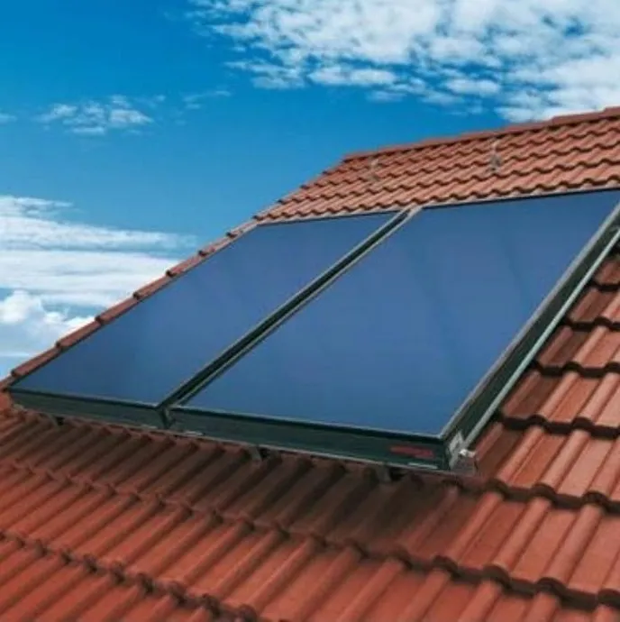 Deux capteurs solaires plans vitrés installés sur une toiture en tuiles